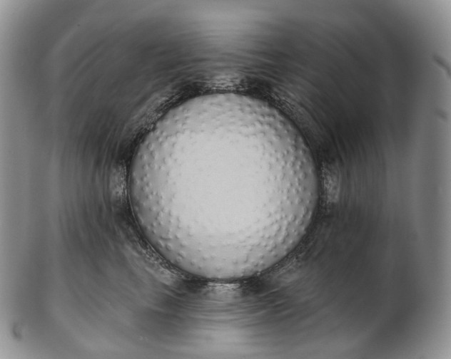 X0000102810665200809021200