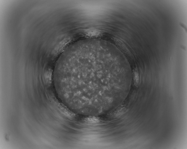 X0000102810668200809021200