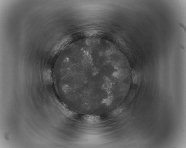 X0000102810670200809021200