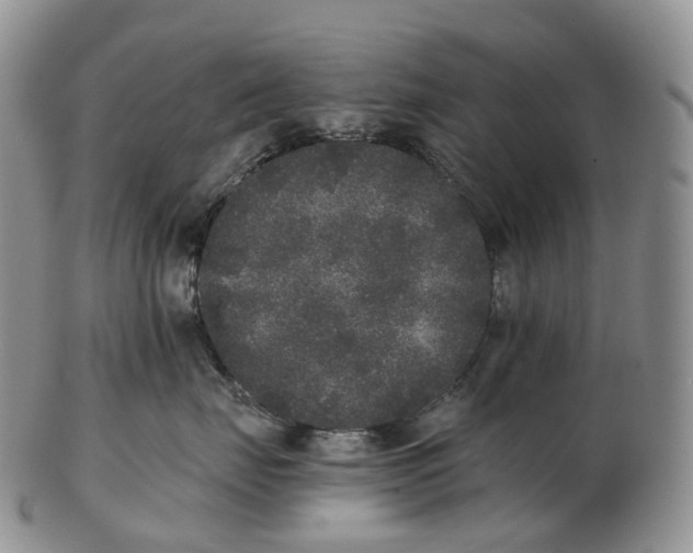 X0000102810671200809021200