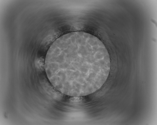 X0000102810672200809021200