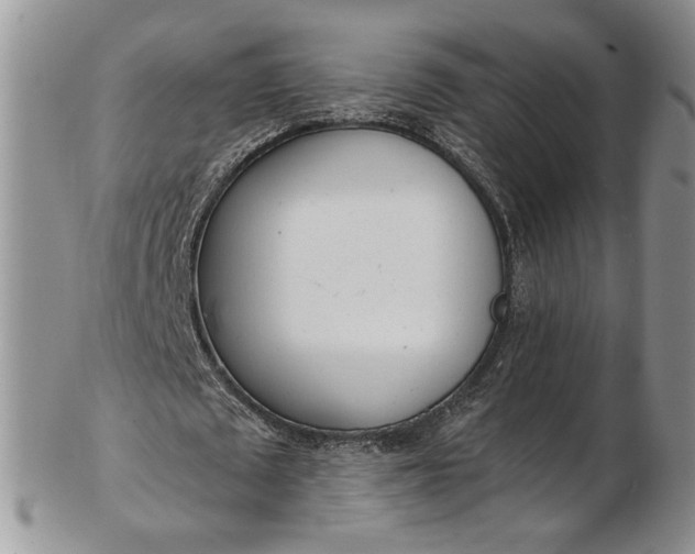 X0000102810673200809021159