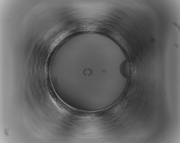 X0000102810674200809021159