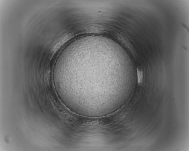 X0000102810675200809021159