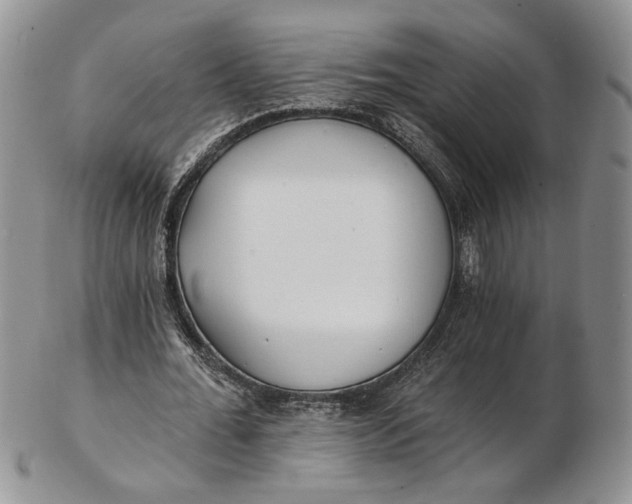 X0000102810676200809021159