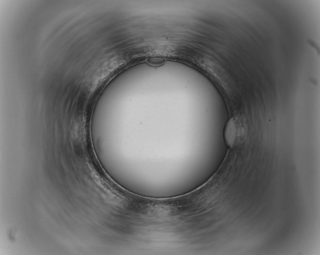 X0000102810677200809021159