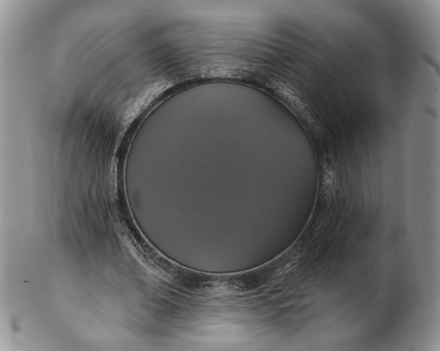 X0000102810678200809021159