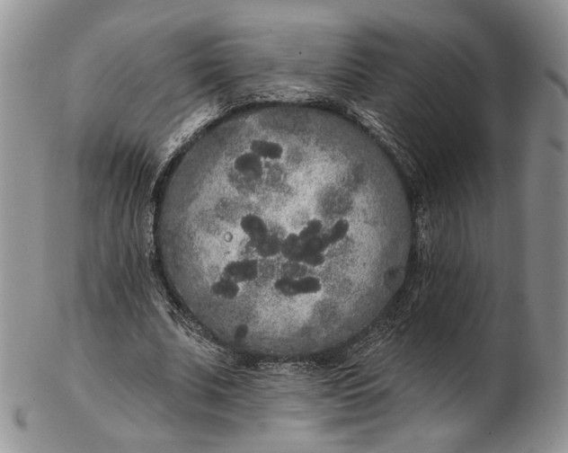 X0000102810679200809021159