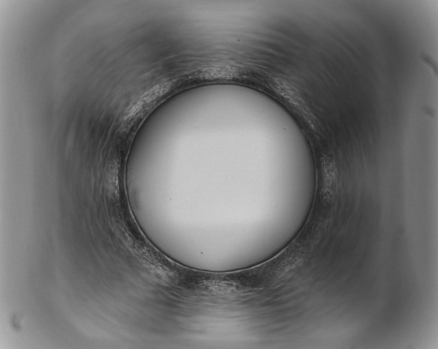 X0000102810681200809021159