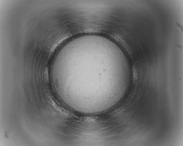 X0000102810684200809021159