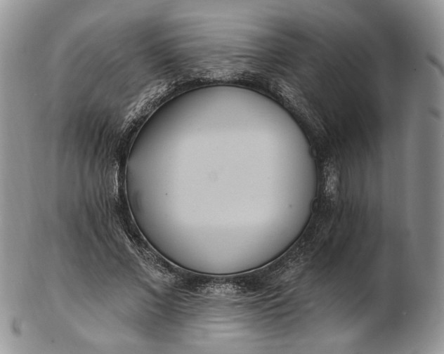 X0000102810685200809021159