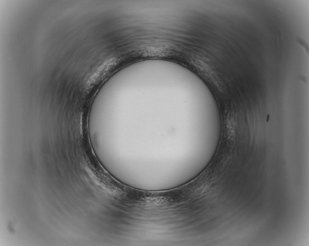 X0000102810686200809021159