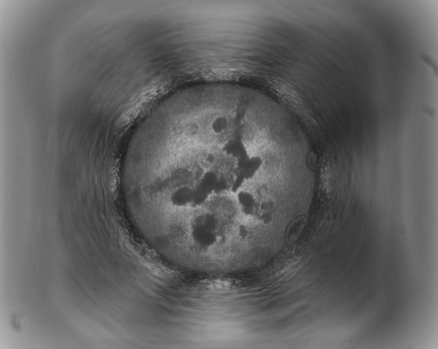 X0000102810687200809021159