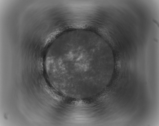 X0000102810688200809021159