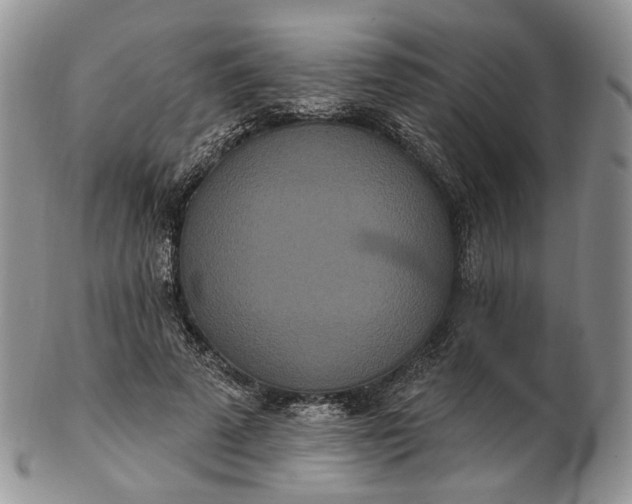 X0000102810689200809021159