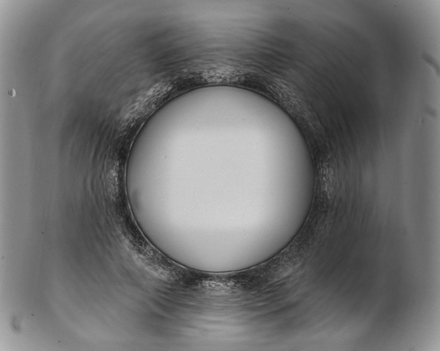 X0000102810690200809021159