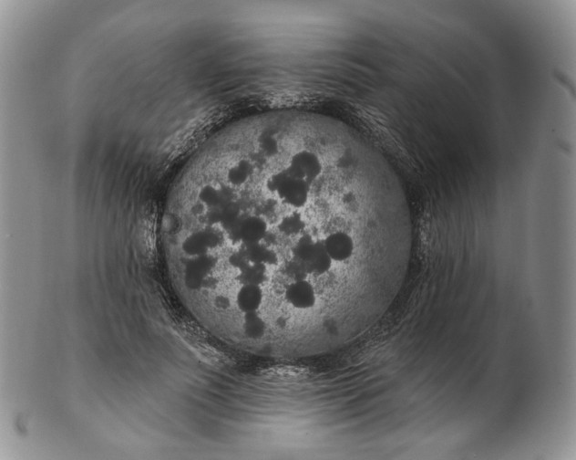 X0000102810691200809021159