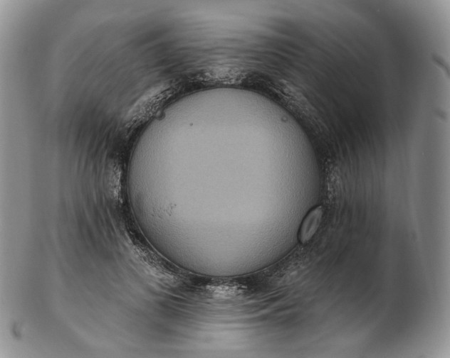 X0000102810693200809021159