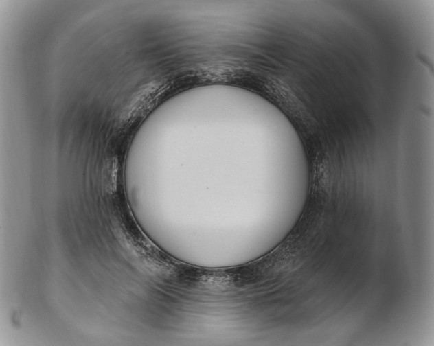 X0000102810694200809021159