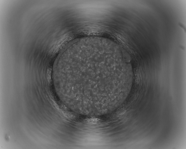 X0000102810695200809021159