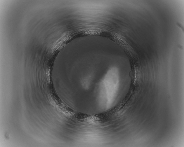 X0000102810696200809021159