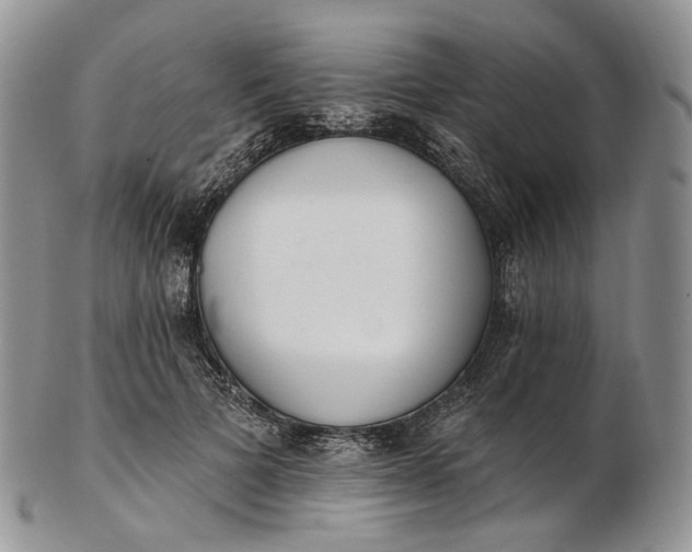 X0000102810697200809021159