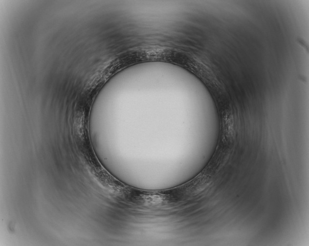 X0000102810698200809021159