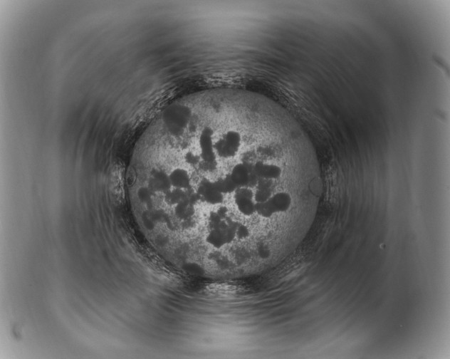 X0000102810699200809021159