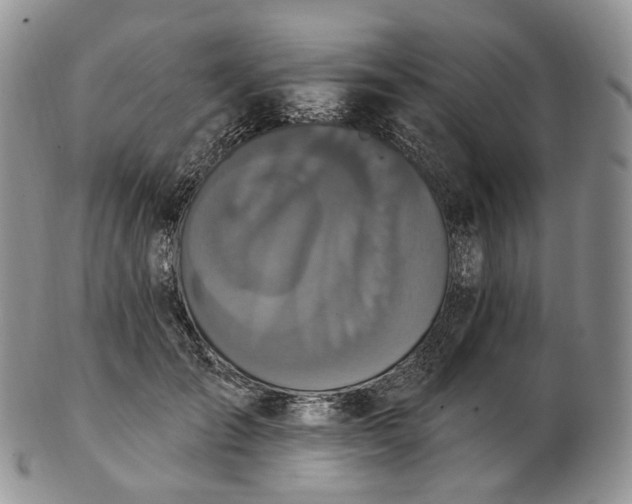 X0000102810701200809021159