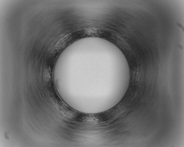 X0000102810702200809021159