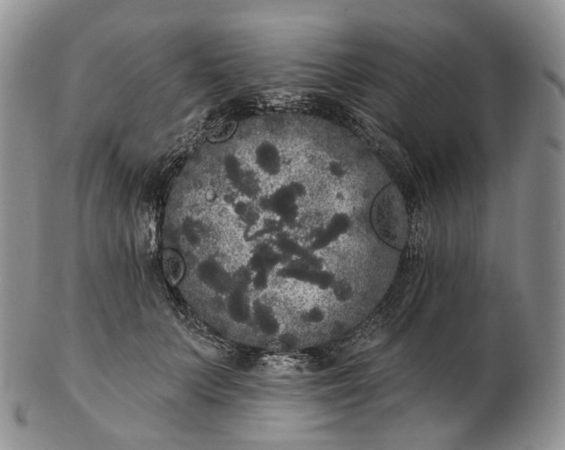 X0000102810703200809021159