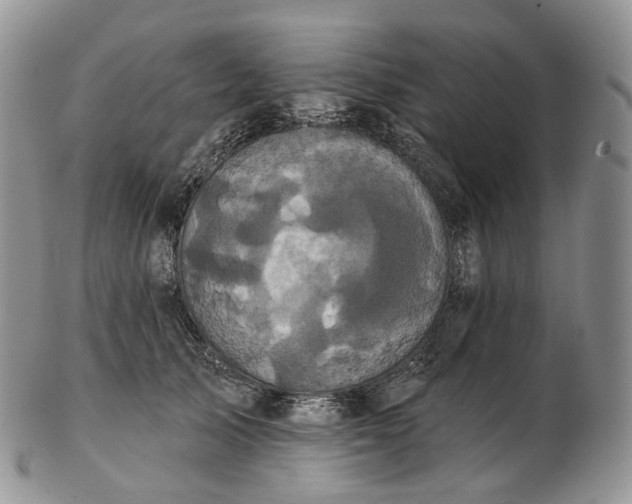 X0000102810705200809021159