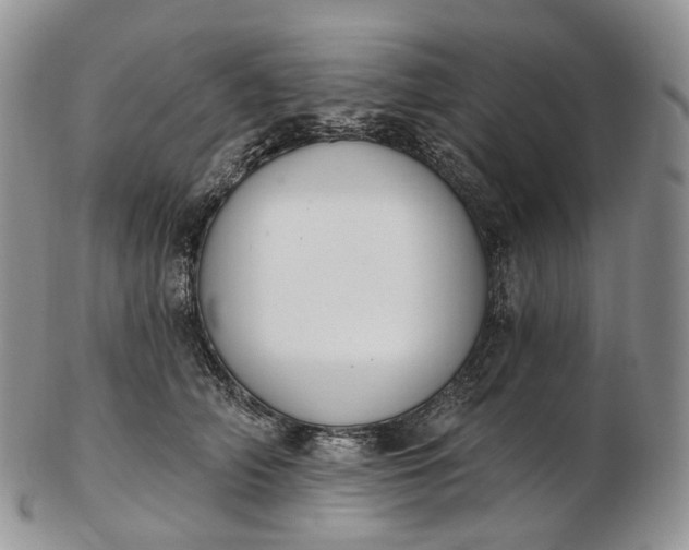 X0000102810706200809021159