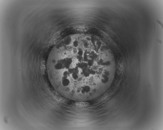 X0000102810707200809021159