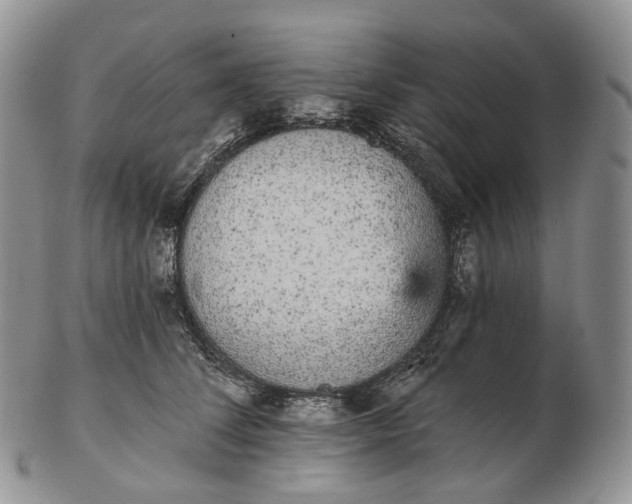 X0000102810708200809021159