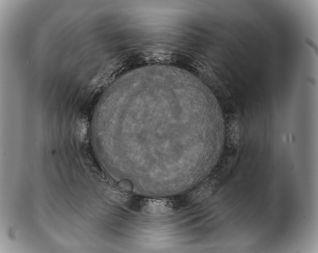 X0000102810709200809021159