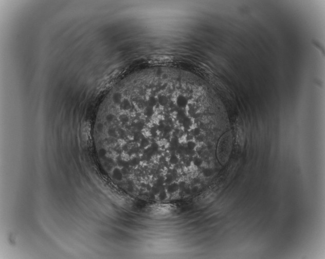 X0000102810711200809021159