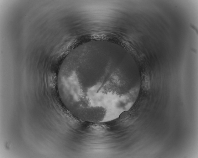 X0000102810712200809021159