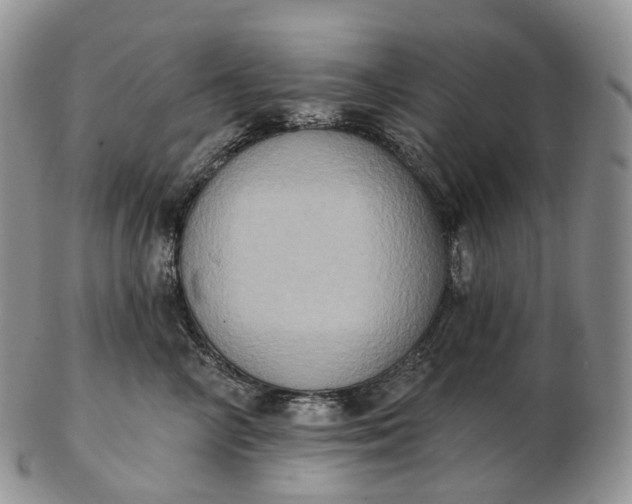 X0000102810714200809021159