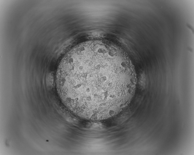 X0000102810715200809021159