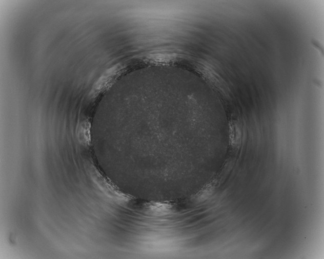 X0000102810718200809021159