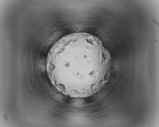 X0000102810719200809021159