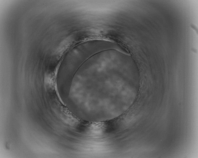 X0000102810720200809021159