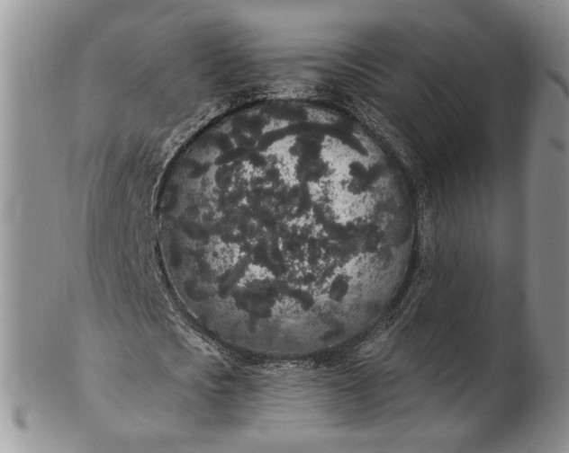 X0000102810721200809021158