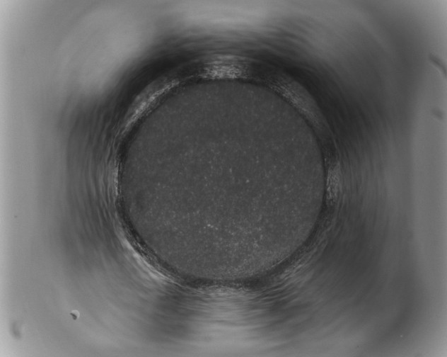 X0000102810722200809021158