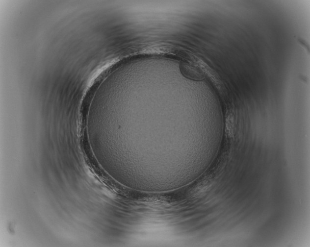 X0000102810724200809021158