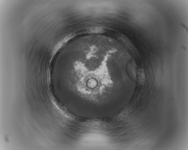 X0000102810726200809021158