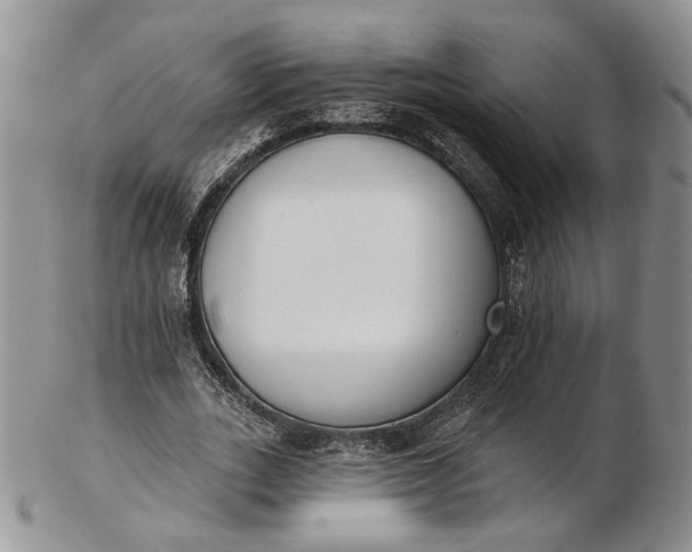 X0000102810727200809021158