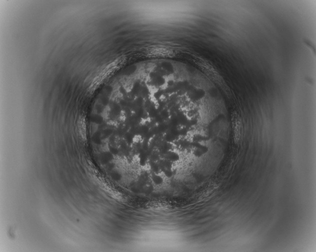 X0000102810729200809021158