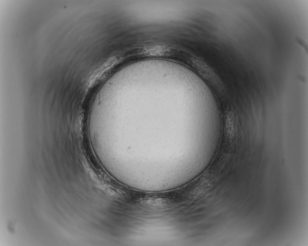 X0000102810730200809021158